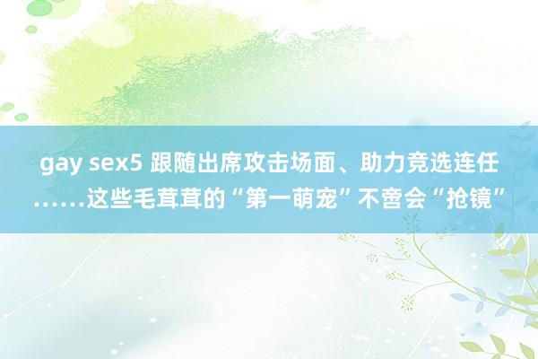 gay sex5 跟随出席攻击场面、助力竞选连任……这些毛茸茸的“第一萌宠”不啻会“抢镜”