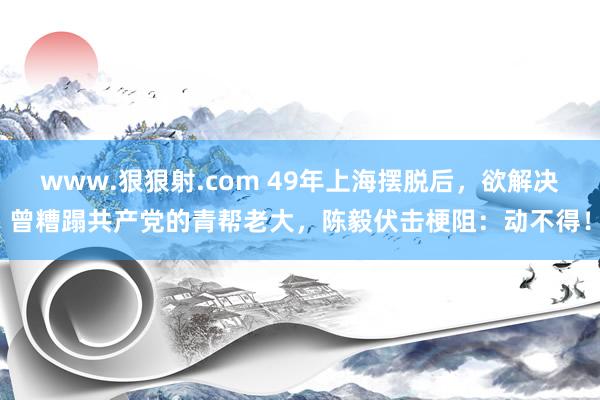 www.狠狠射.com 49年上海摆脱后，欲解决曾糟蹋共产党的青帮老大，陈毅伏击梗阻：动不得！