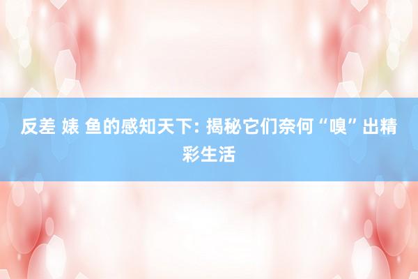 反差 婊 鱼的感知天下: 揭秘它们奈何“嗅”出精彩生活