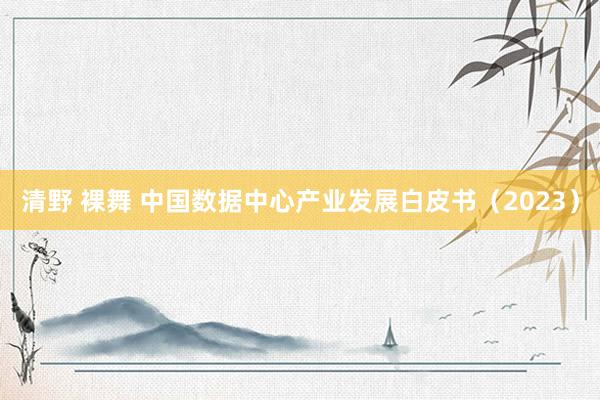 清野 裸舞 中国数据中心产业发展白皮书（2023）