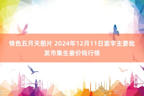 情色五月天图片 2024年12月11日寰宇主要批发市集生姜价钱行情