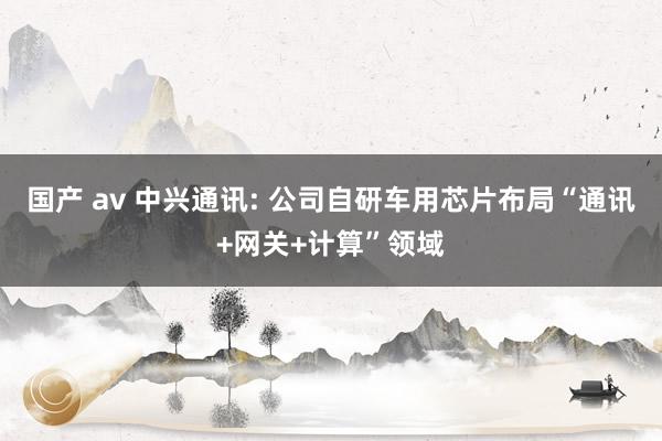 国产 av 中兴通讯: 公司自研车用芯片布局“通讯+网关+计算”领域