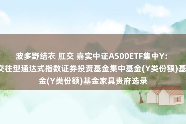 波多野结衣 肛交 嘉实中证A500ETF集中Y: 嘉实中证A500交往型通达式指数证券投资基金集中基金(Y类份额)基金家具贵府选录