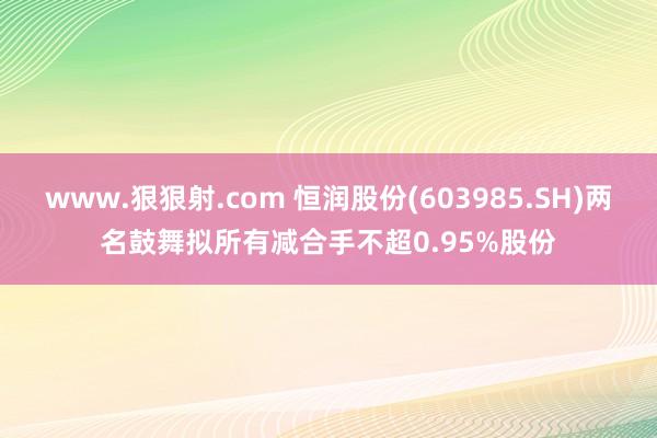 www.狠狠射.com 恒润股份(603985.SH)两名鼓舞拟所有减合手不超0.95%股份