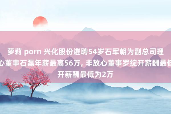 萝莉 porn 兴化股份遴聘54岁石军朝为副总司理, 非放心董事石磊年薪最高56万, 非放心董事罗绽开薪酬最低为2万