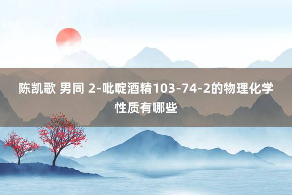 陈凯歌 男同 2-吡啶酒精103-74-2的物理化学性质有哪些