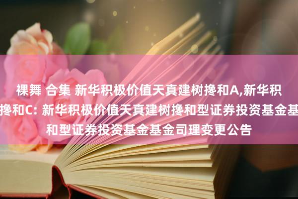 裸舞 合集 新华积极价值天真建树搀和A,新华积极价值天真建树搀和C: 新华积极价值天真建树搀和型证券投资基金基金司理变更公告