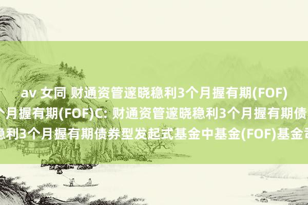 av 女同 财通资管邃晓稳利3个月握有期(FOF)A,财通资管邃晓稳利3个月握有期(FOF)C: 财通资管邃晓稳利3个月握有期债券型发起式基金中基金(FOF)基金司理变更公告