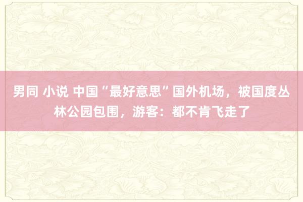 男同 小说 中国“最好意思”国外机场，被国度丛林公园包围，游客：都不肯飞走了