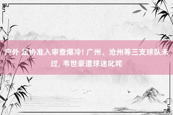 户外 足协准入审查爆冷! 广州、沧州等三支球队未过， 韦世豪遭球迷叱咤