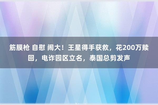 筋膜枪 自慰 闹大！王星得手获救，花200万赎回，电诈园区立名，泰国总剪发声