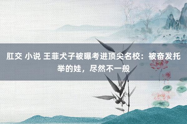 肛交 小说 王菲犬子被曝考进顶尖名校：被奋发托举的娃，尽然不一般