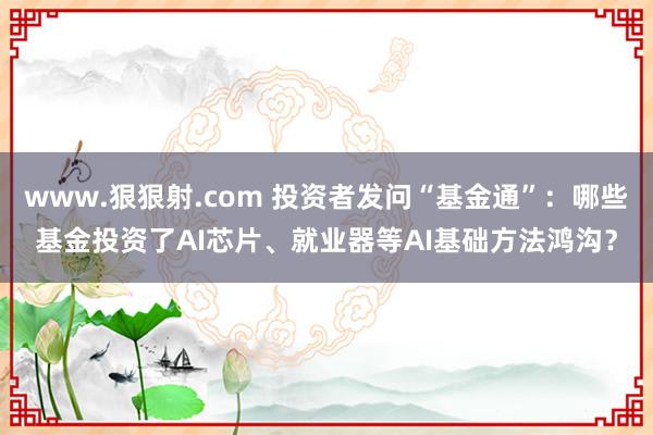 www.狠狠射.com 投资者发问“基金通”:哪些基金投资了AI芯片、就业器等AI基础方法鸿沟?