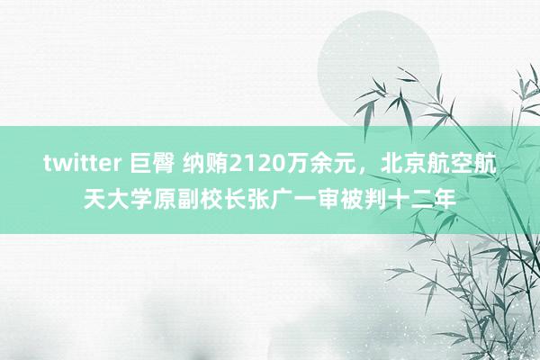 twitter 巨臀 纳贿2120万余元,北京航空航天大学原副校长张广一审被判十二年