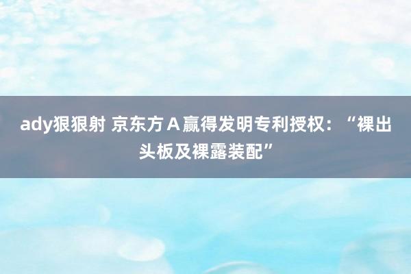ady狠狠射 京东方Ａ赢得发明专利授权：“裸出头板及裸露装配”