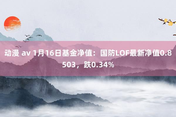 动漫 av 1月16日基金净值：国防LOF最新净值0.8503，跌0.34%
