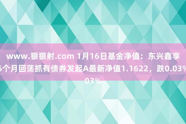 www.狠狠射.com 1月16日基金净值：东兴鑫享6个月回荡抓有债券发起A最新净值1.1622，跌0.03%