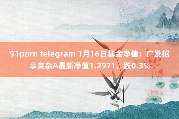 91porn telegram 1月16日基金净值：广发招享夹杂A最新净值1.2971，跌0.3%