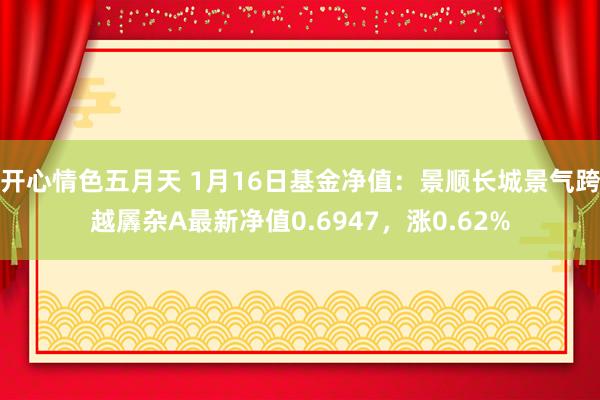 开心情色五月天 1月16日基金净值：景顺长城景气跨越羼杂A最新净值0.6947，涨0.62%