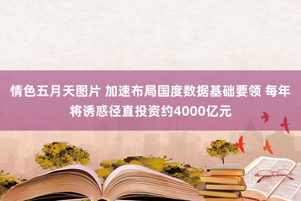 情色五月天图片 加速布局国度数据基础要领 每年将诱惑径直投资约4000亿元