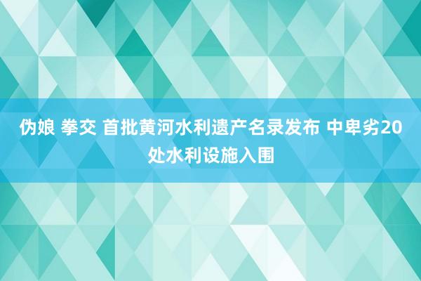 伪娘 拳交 首批黄河水利遗产名录发布 中卑劣20处水利设施入围