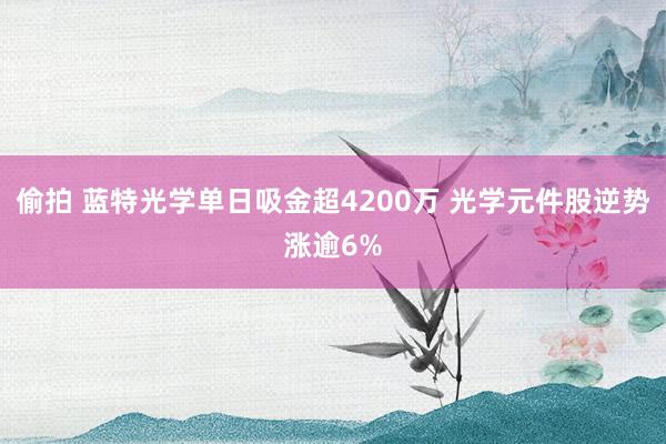 偷拍 蓝特光学单日吸金超4200万 光学元件股逆势涨逾6%