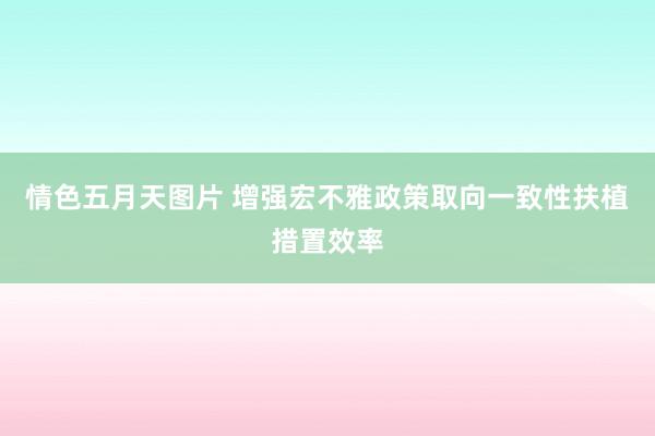 情色五月天图片 增强宏不雅政策取向一致性扶植措置效率