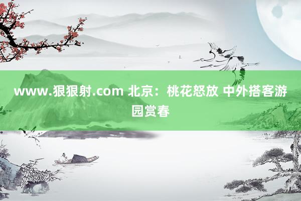 www.狠狠射.com 北京：桃花怒放 中外搭客游园赏春