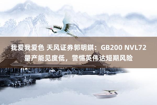 我爱我爱色 天风证券郭明錤：GB200 NVL72量产能见度低，警惕英伟达短期风险