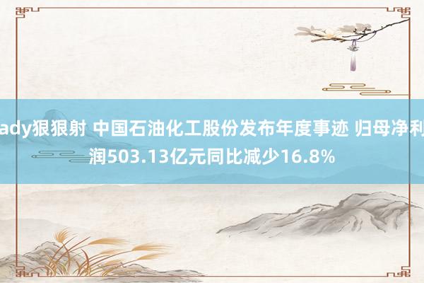 ady狠狠射 中国石油化工股份发布年度事迹 归母净利润503.13亿元同比减少16.8%