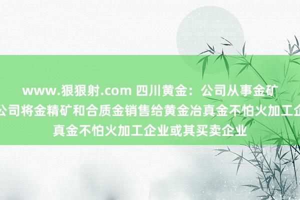 www.狠狠射.com 四川黄金：公司从事金矿的选择及销售，公司将金精矿和合质金销售给黄金冶真金不怕火加工企业或其买卖企业