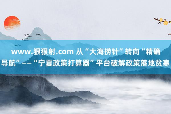 www.狠狠射.com 从“大海捞针”转向“精确导航”——“宁夏政策打算器”平台破解政策落地贫寒