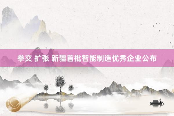 拳交 扩张 新疆首批智能制造优秀企业公布