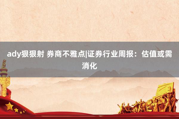ady狠狠射 券商不雅点|证券行业周报：估值或需消化