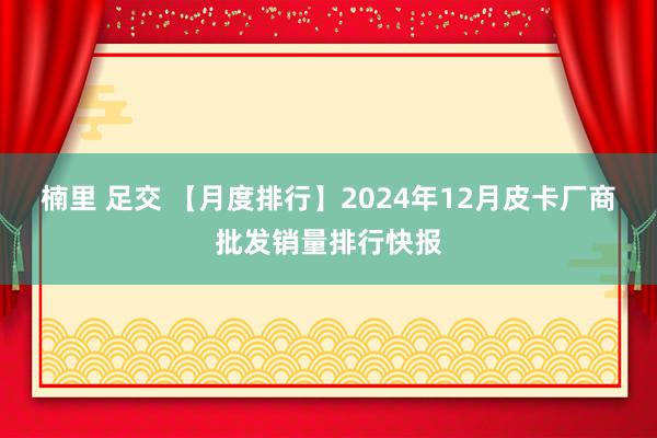 楠里 足交 【月度排行】2024年12月皮卡厂商批发销量排行快报