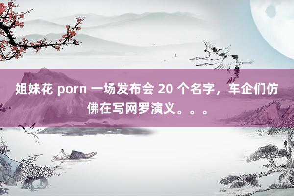 姐妹花 porn 一场发布会 20 个名字，车企们仿佛在写网罗演义。。。