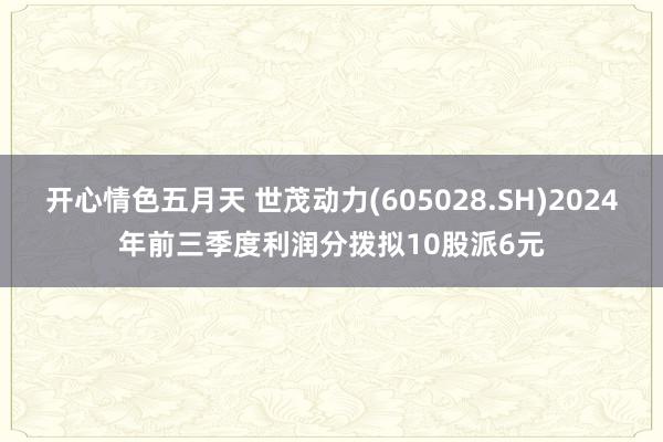 开心情色五月天 世茂动力(605028.SH)2024年前三季度利润分拨拟10股派6元
