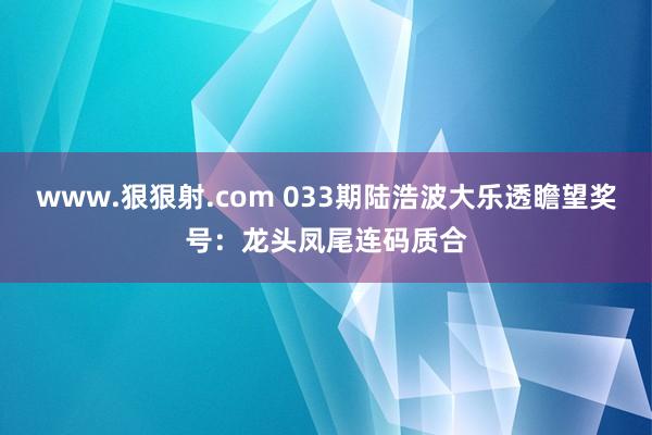 www.狠狠射.com 033期陆浩波大乐透瞻望奖号：龙头凤尾连码质合