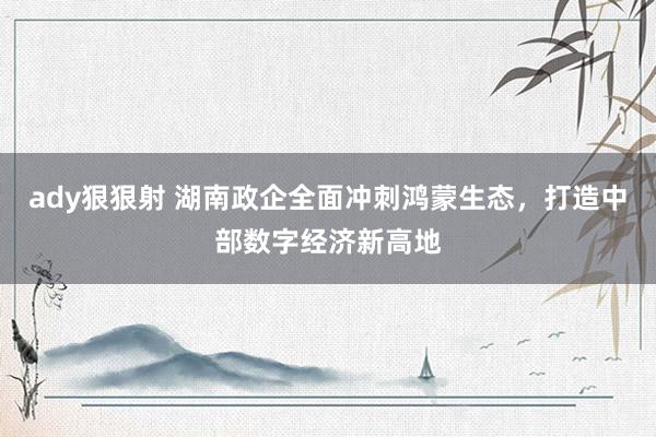 ady狠狠射 湖南政企全面冲刺鸿蒙生态，打造中部数字经济新高地