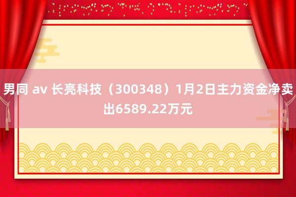 男同 av 长亮科技（300348）1月2日主力资金净卖出6589.22万元