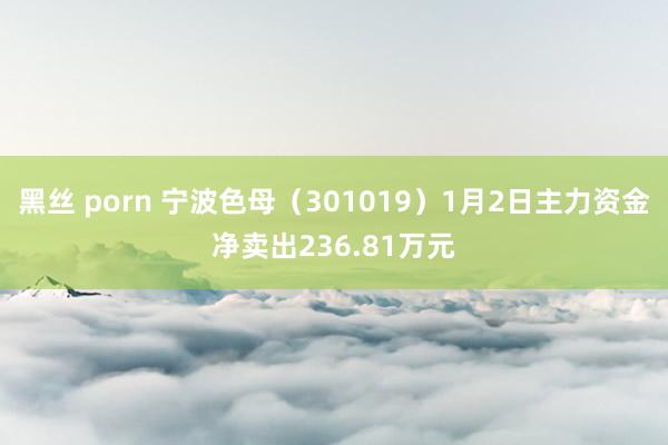 黑丝 porn 宁波色母（301019）1月2日主力资金净卖出236.81万元