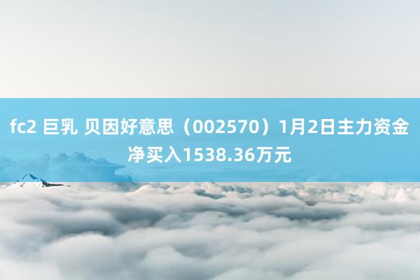 fc2 巨乳 贝因好意思（002570）1月2日主力资金净买入1538.36万元