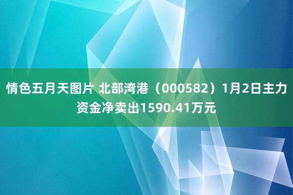 情色五月天图片 北部湾港（000582）1月2日主力资金净卖出1590.41万元