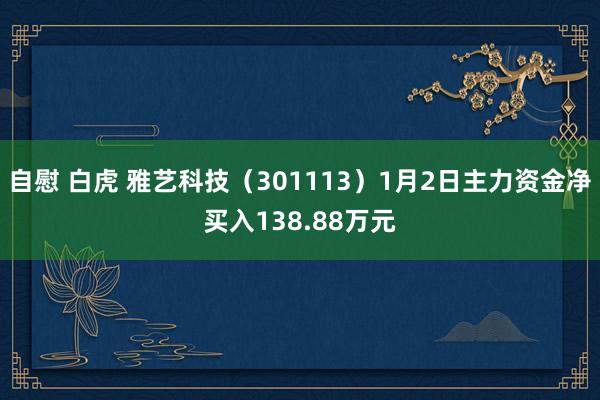 自慰 白虎 雅艺科技（301113）1月2日主力资金净买入138.88万元