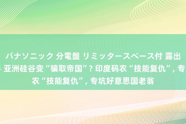 パナソニック 分電盤 リミッタースペース付 露出・半埋込両用形 亚洲硅谷变“骗取帝国”? 印度码农“技能复仇”， 专坑好意思国老翁