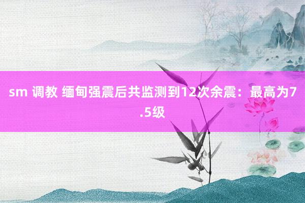 sm 调教 缅甸强震后共监测到12次余震：最高为7.5级