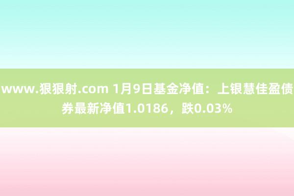 www.狠狠射.com 1月9日基金净值：上银慧佳盈债券最新净值1.0186，跌0.03%
