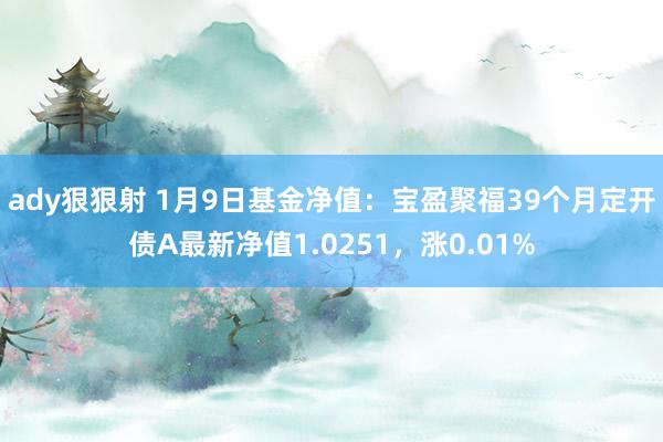 ady狠狠射 1月9日基金净值：宝盈聚福39个月定开债A最新净值1.0251，涨0.01%
