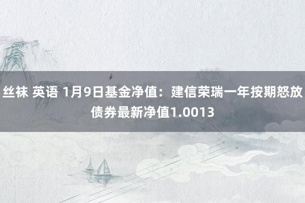 丝袜 英语 1月9日基金净值：建信荣瑞一年按期怒放债券最新净值1.0013