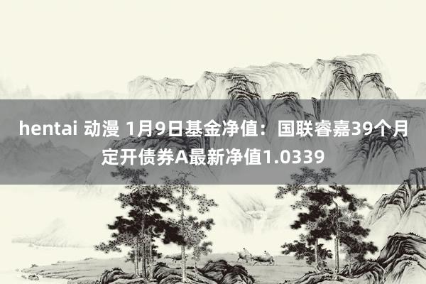 hentai 动漫 1月9日基金净值：国联睿嘉39个月定开债券A最新净值1.0339